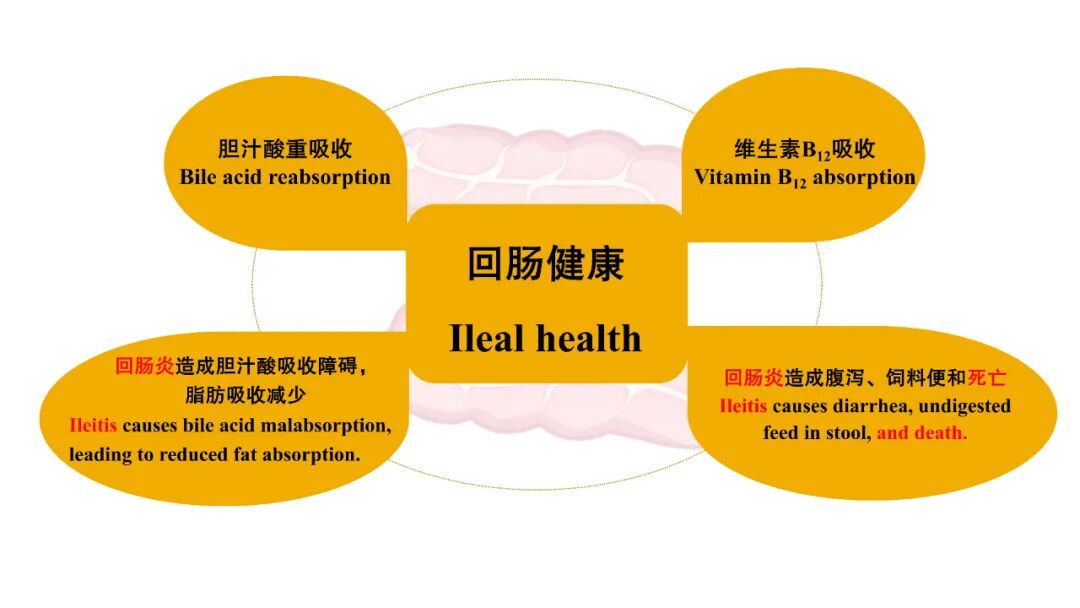 202510271355189553.jpg 202510271355189553.jpg