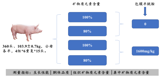 包膜半胱胺產(chǎn)品試驗結(jié)果分享（一）493.png